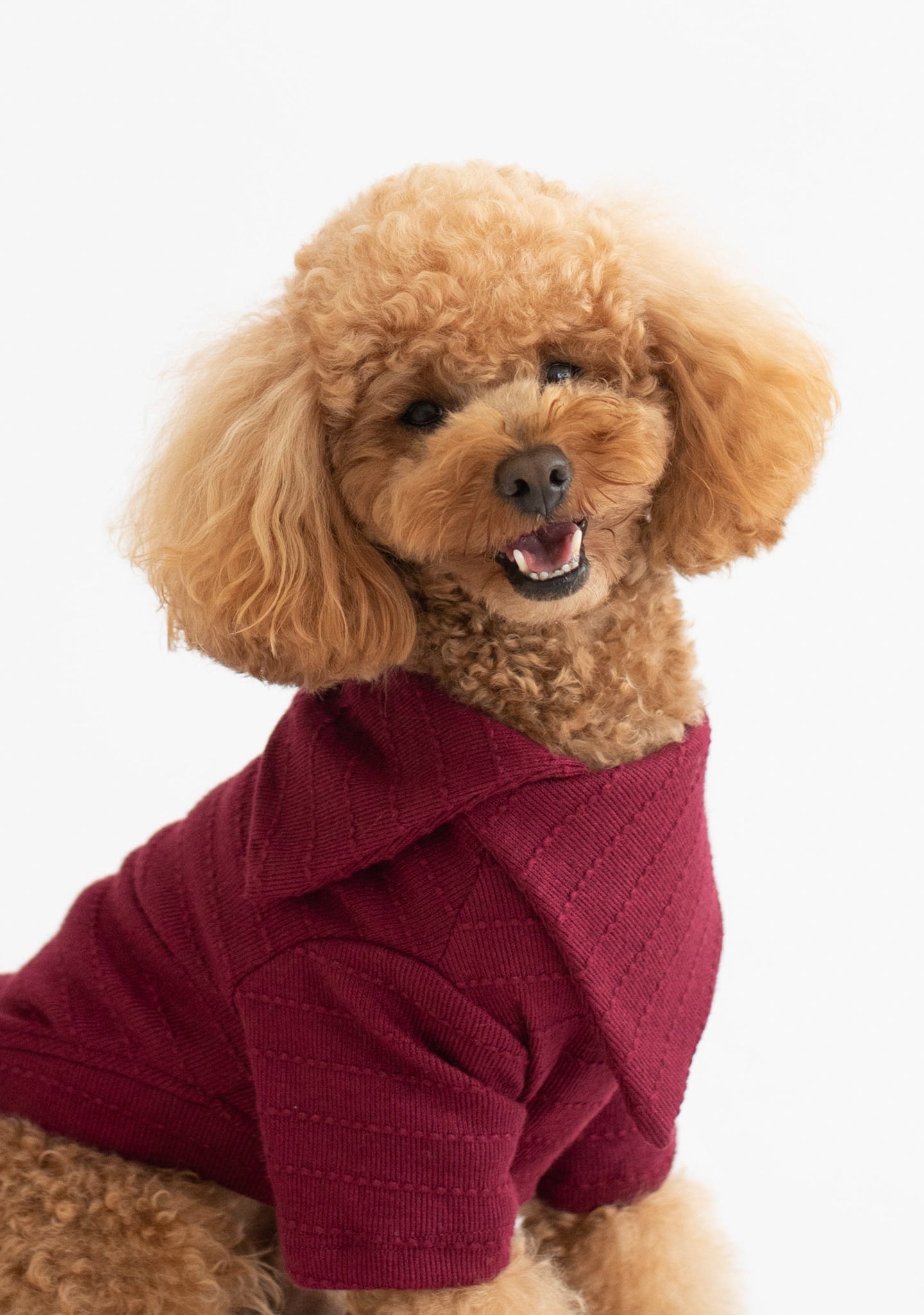 Eloise Sweater