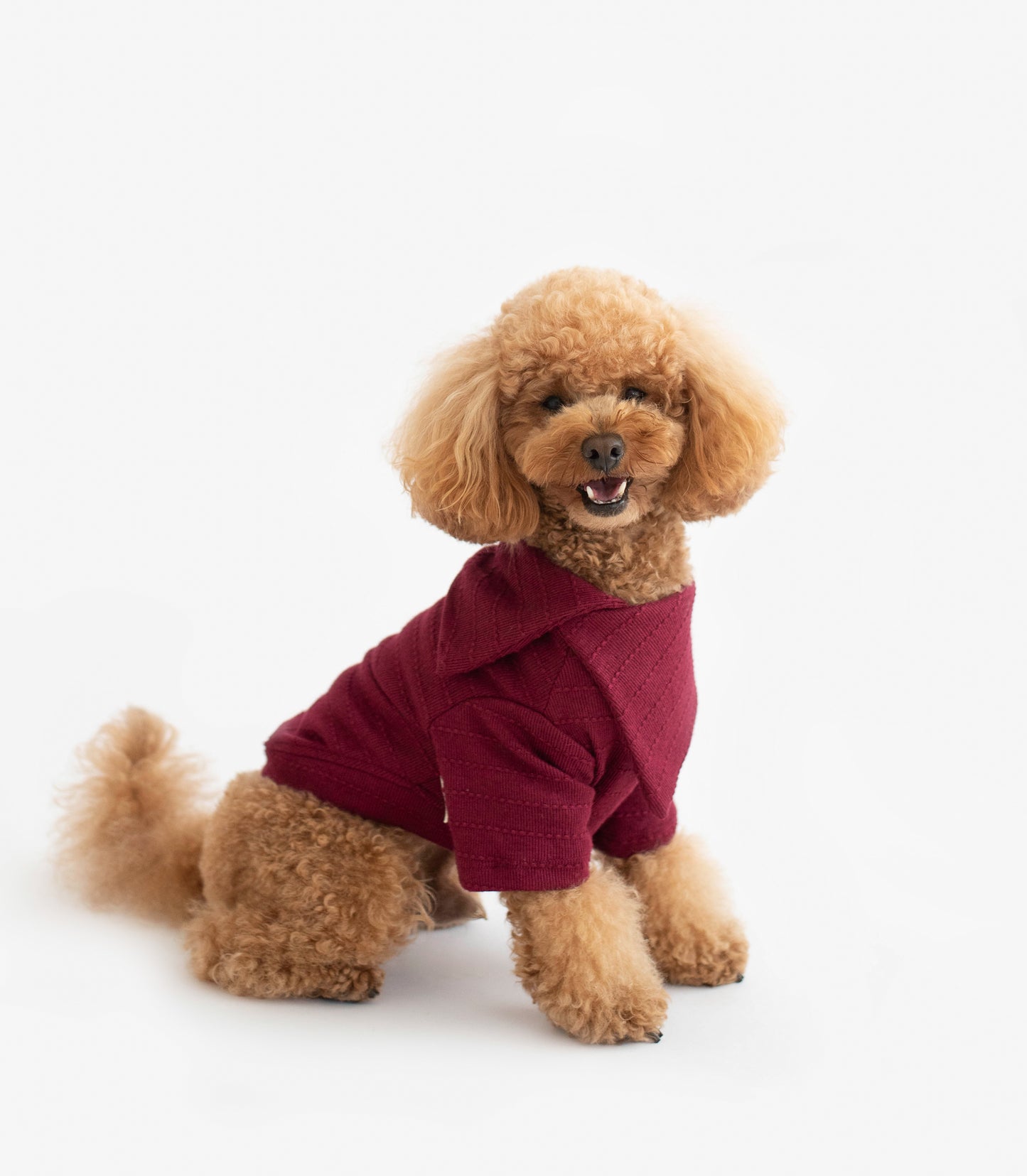 Eloise Sweater