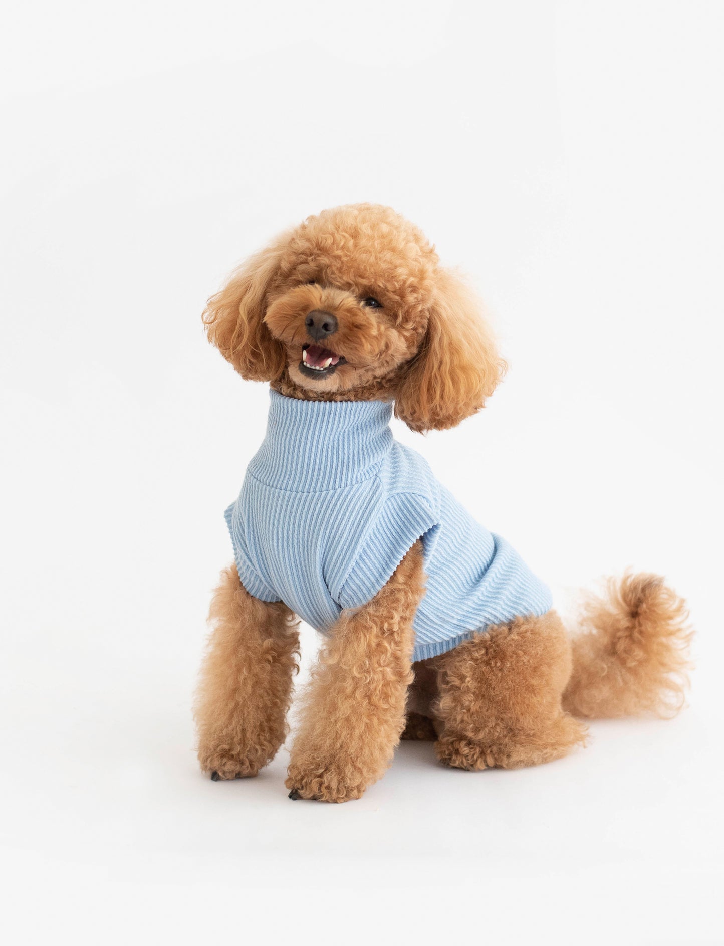 Joie Sweater
