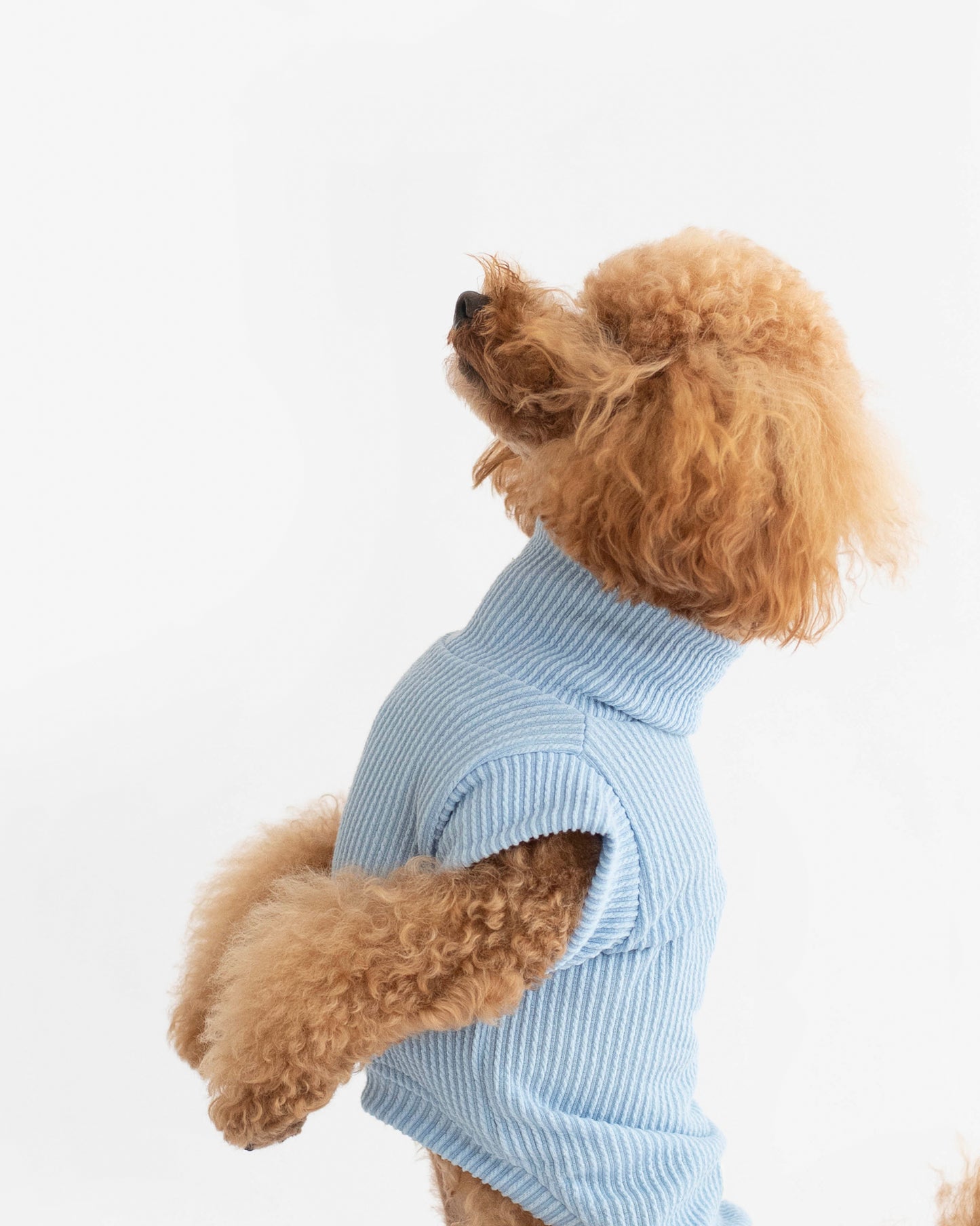 Joie Sweater