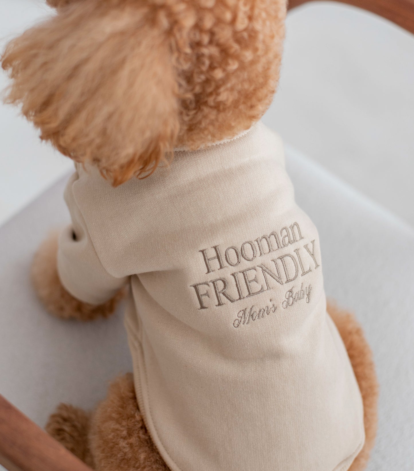 Pet Hoodie (Duas Match)