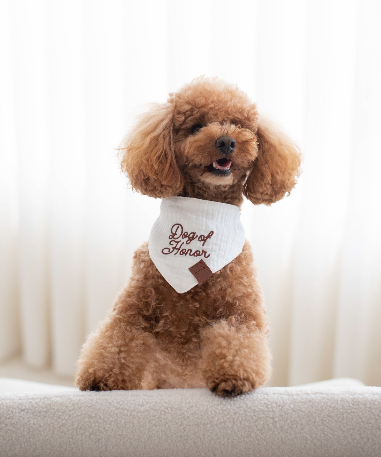 Bandana Dog Of Honor