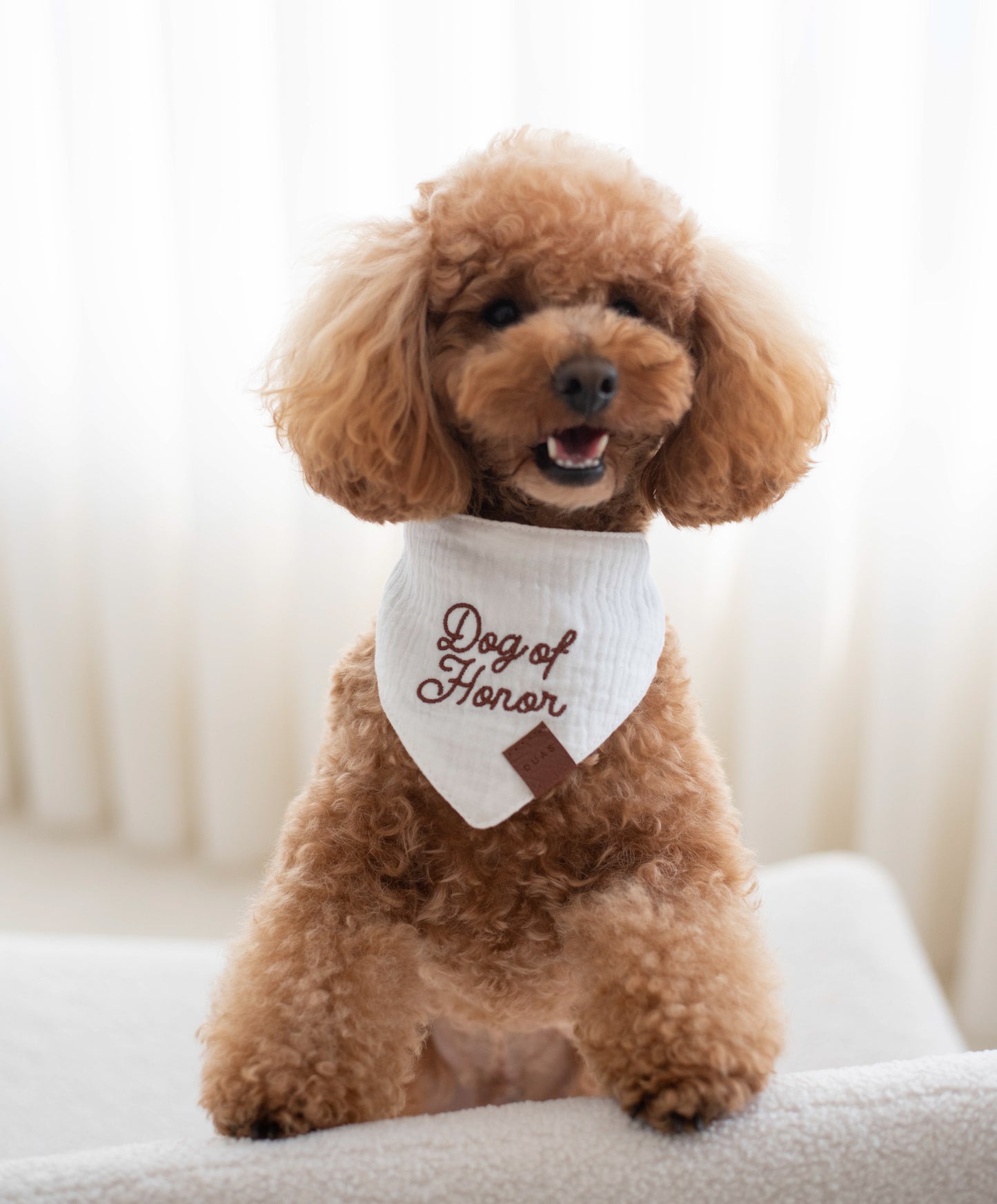 Bandana Dog Of Honor