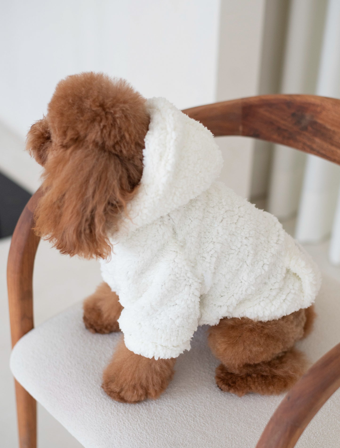 Noa Coat