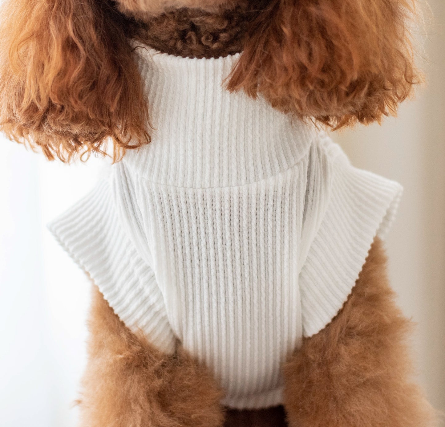 Joie Sweater