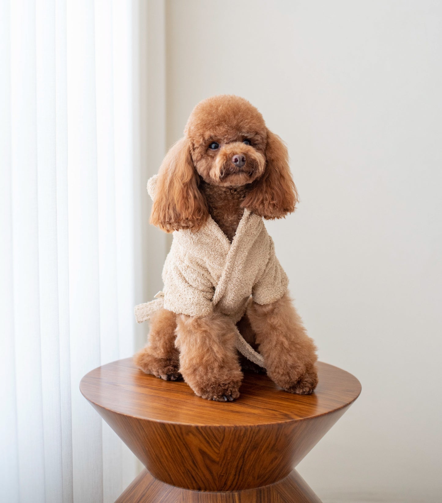 Bear Robe