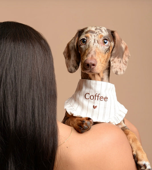 Bandana Amore (personalizada)