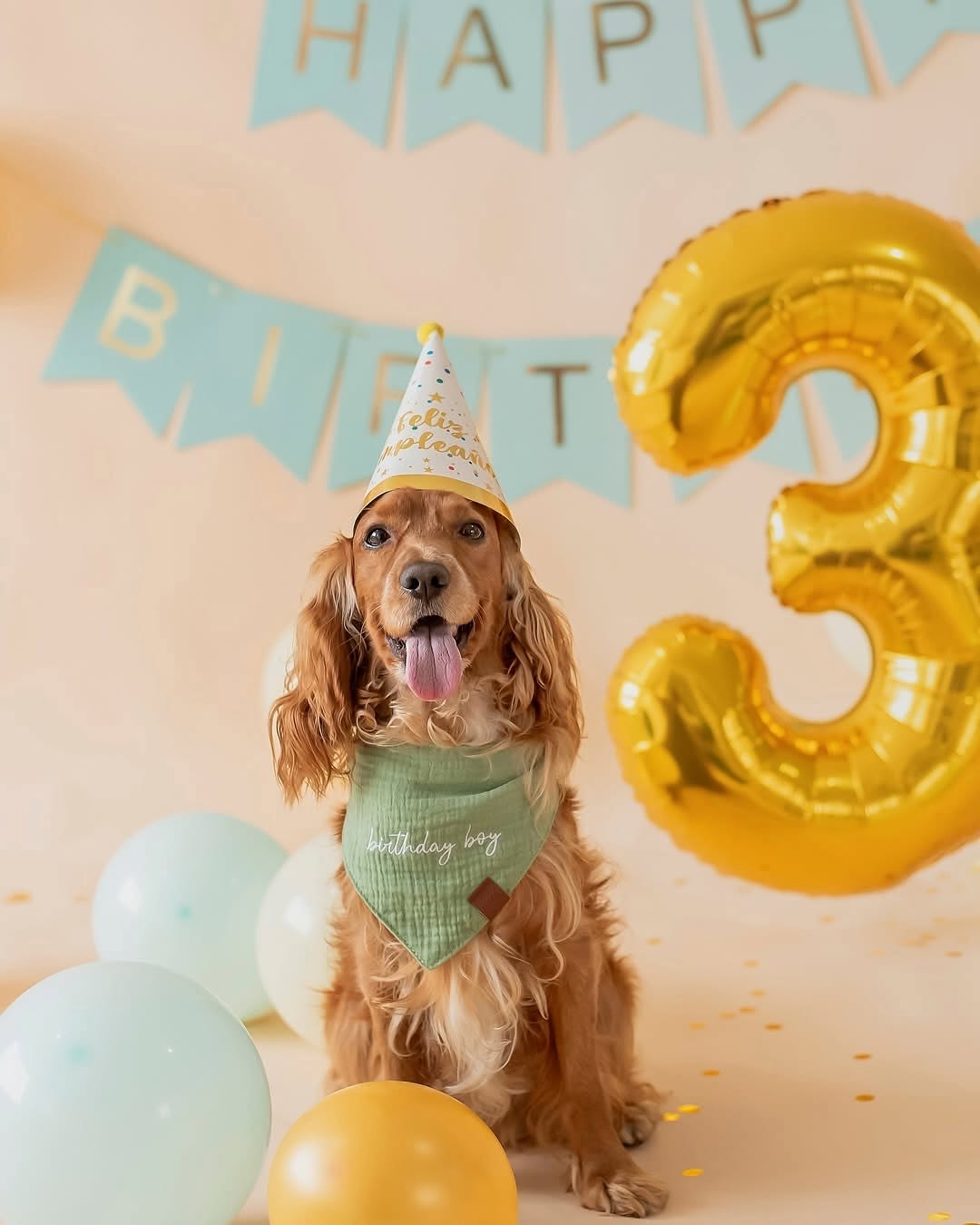 Bandana Birthday Boy