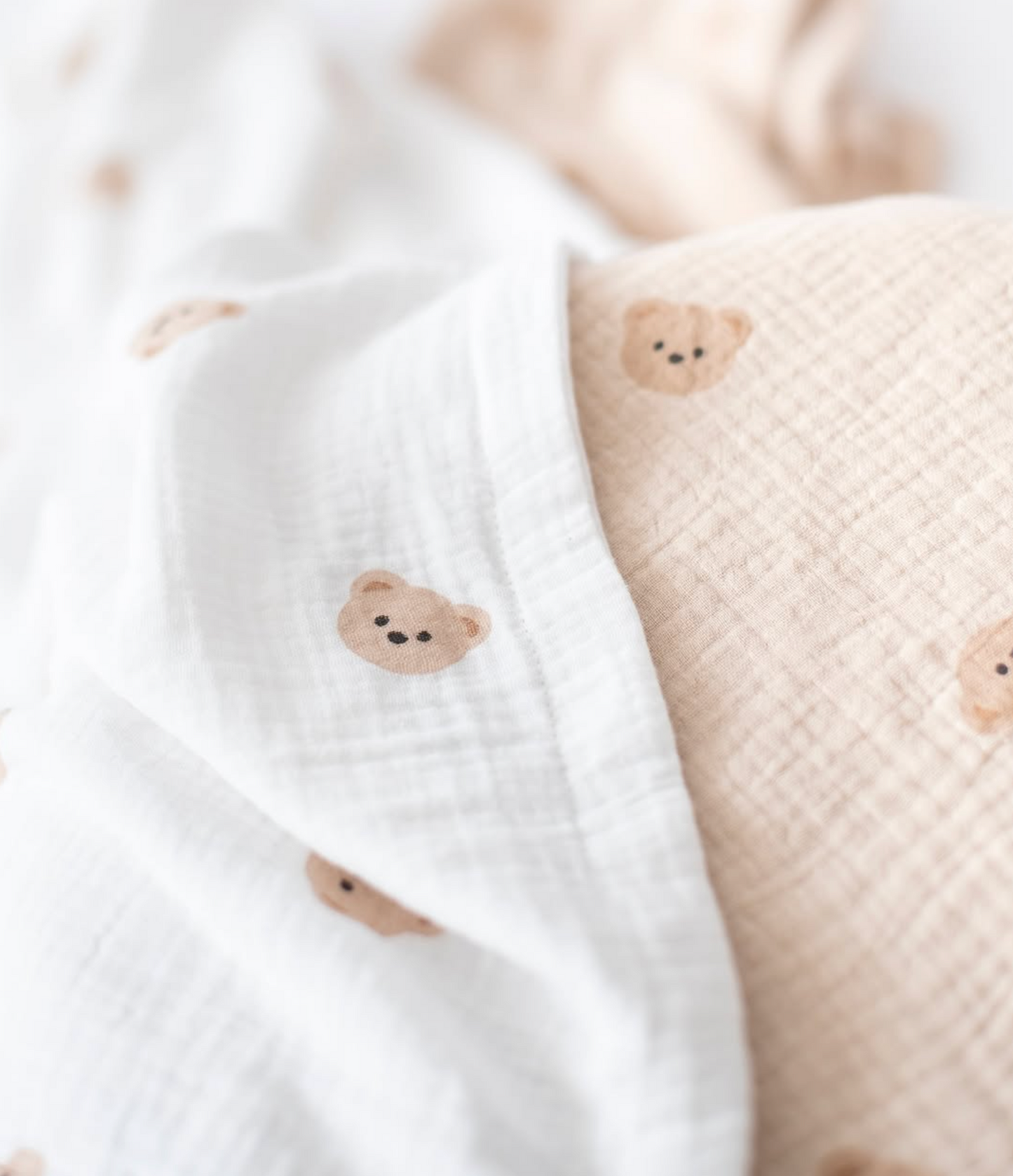 Manta Teddy