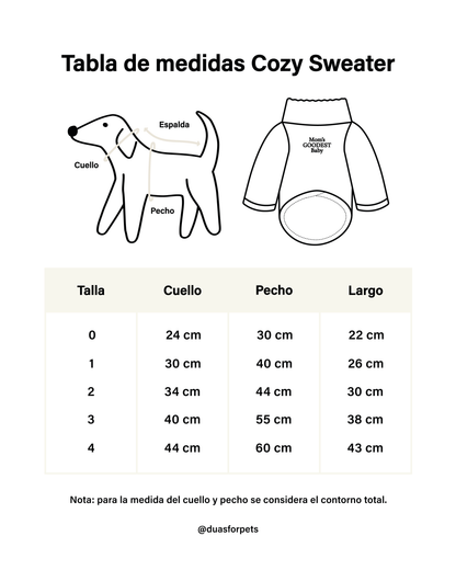 Cozy Sweater