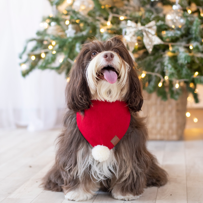 Bandana Pompom