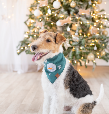 Bandana Snowman