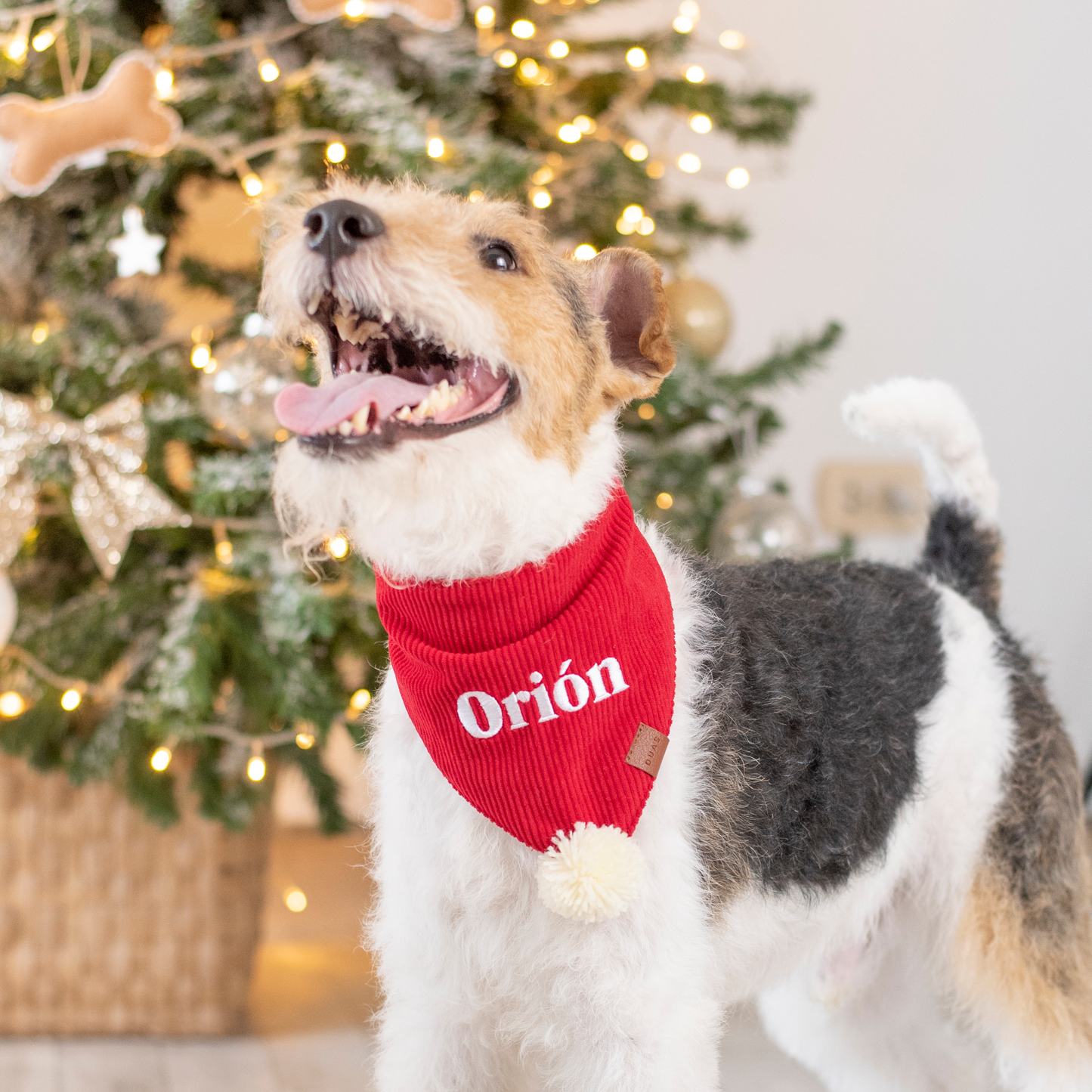 Bandana Personalizada Holly X-Mas