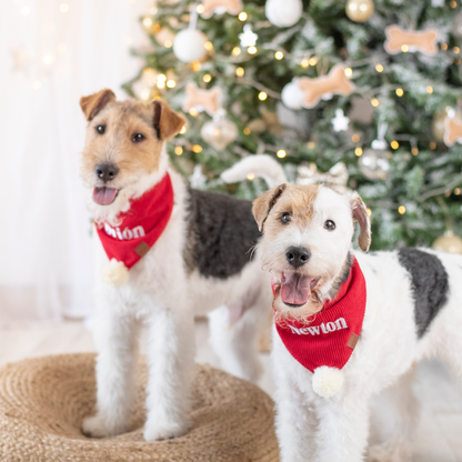 Bandana Personalizada Holly X-Mas