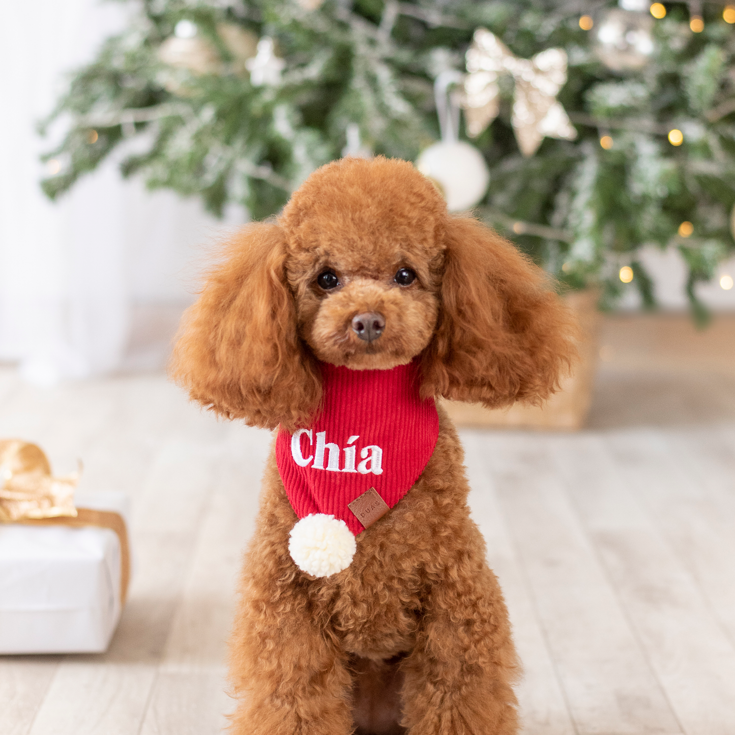 Bandana Personalizada Holly X-Mas