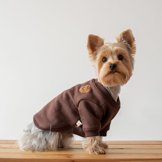 Teddy Bear Hoodie