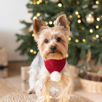 Bandana Pompom