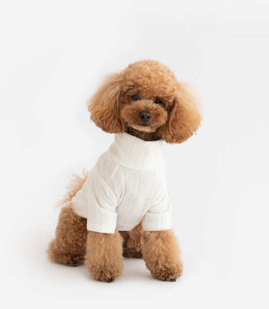 Cloud Sweater