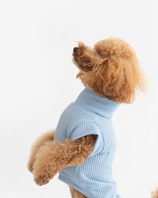 Joie Sweater