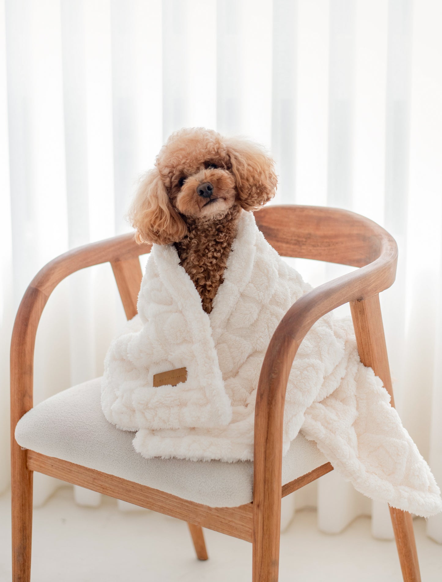 Comfy Blanket