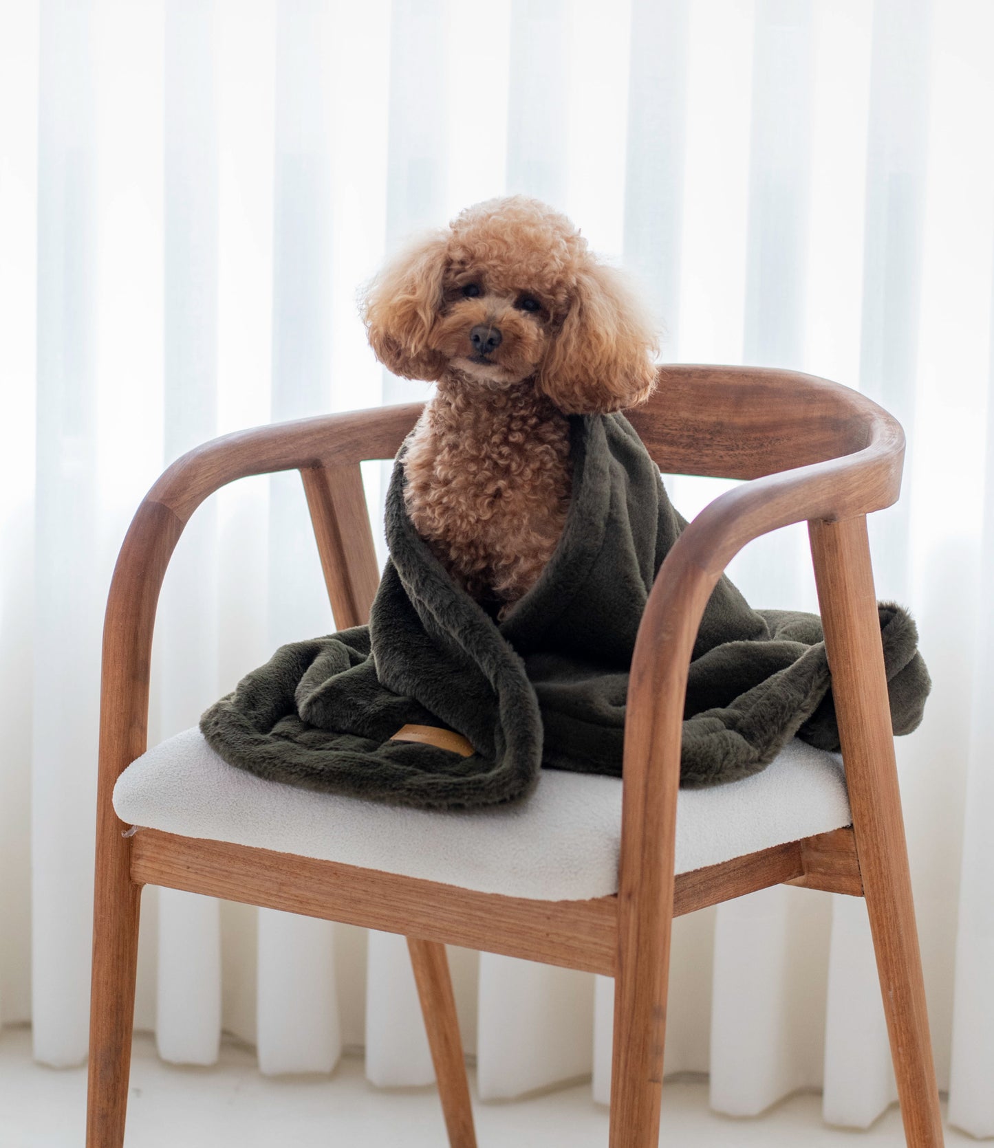 Bonnie Blanket