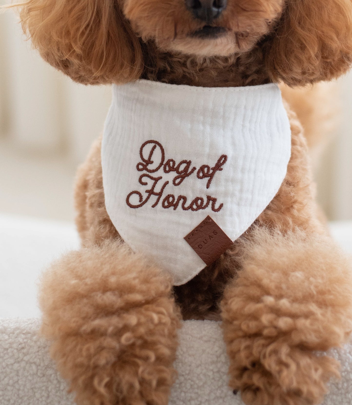 Bandana Dog Of Honor