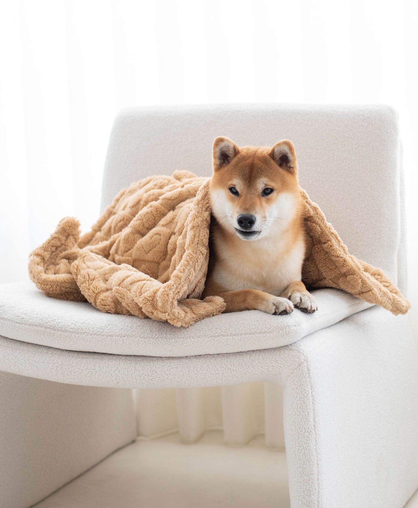 Comfy Blanket