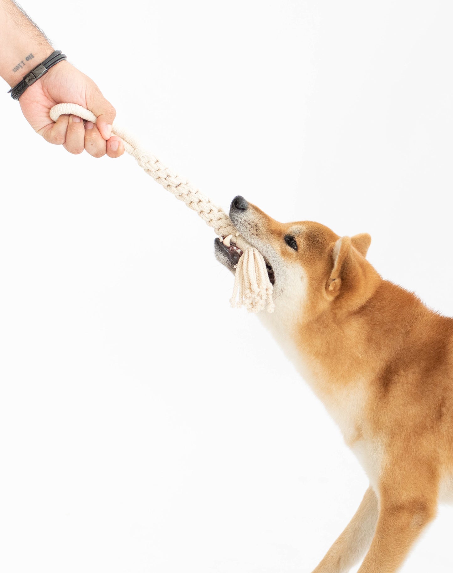 Rope