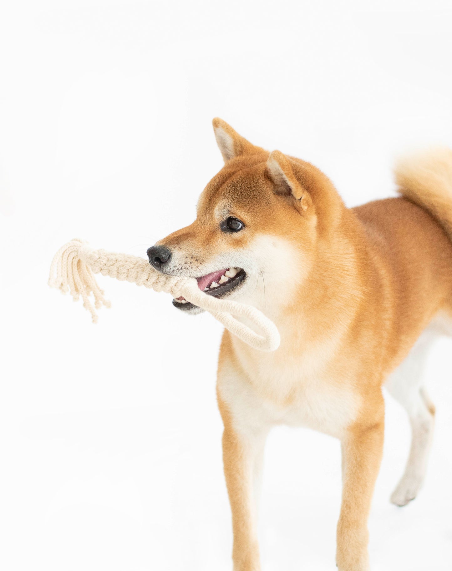 Rope