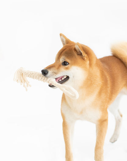 Rope