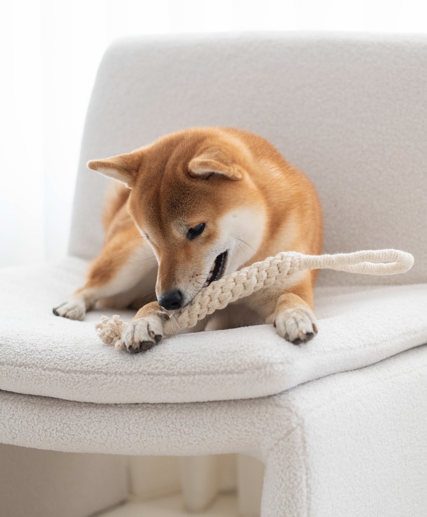 Rope