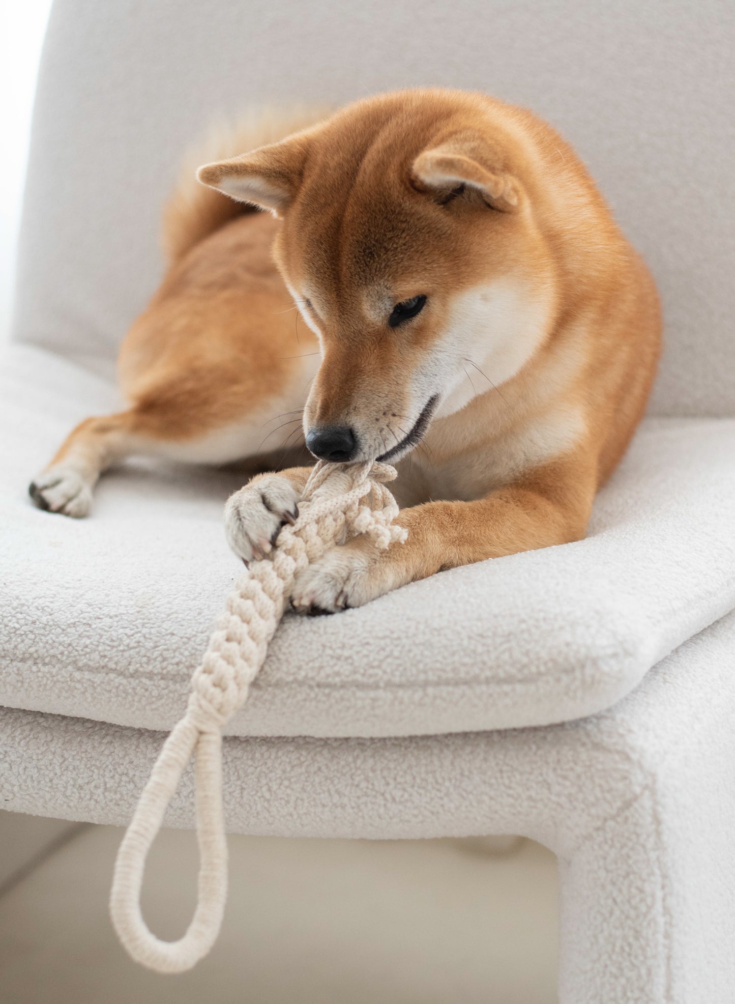 Rope