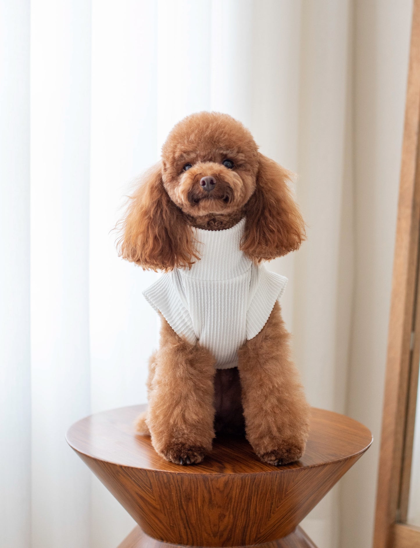 Joie Sweater
