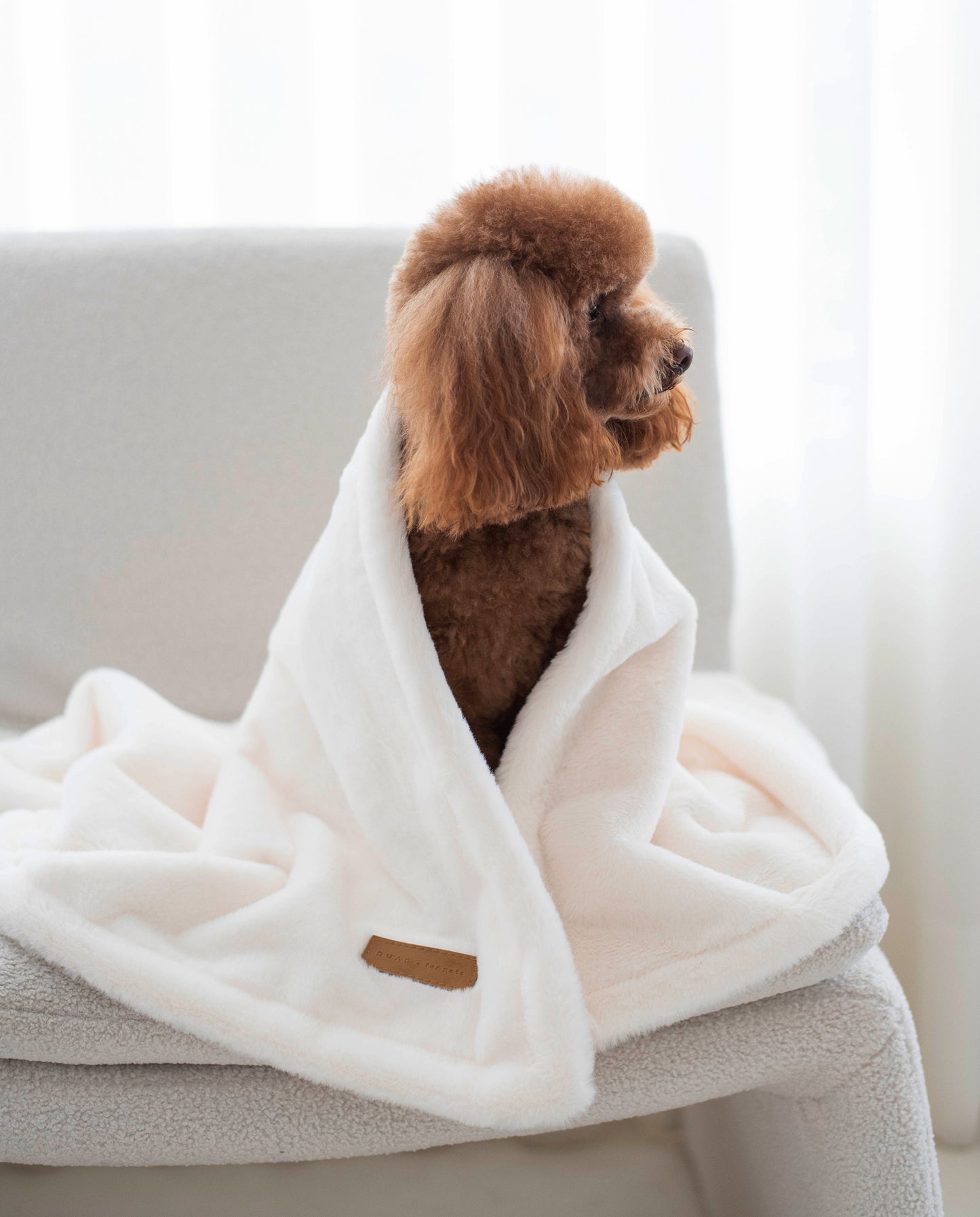 Bonnie Blanket