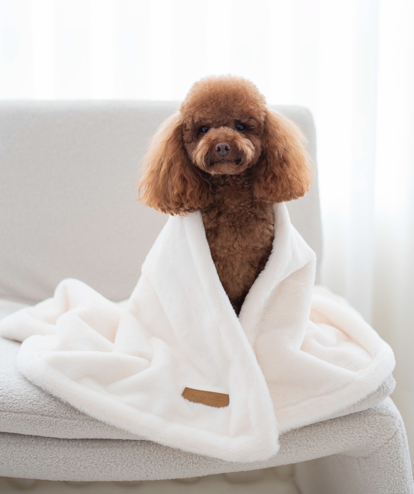 Bonnie Blanket