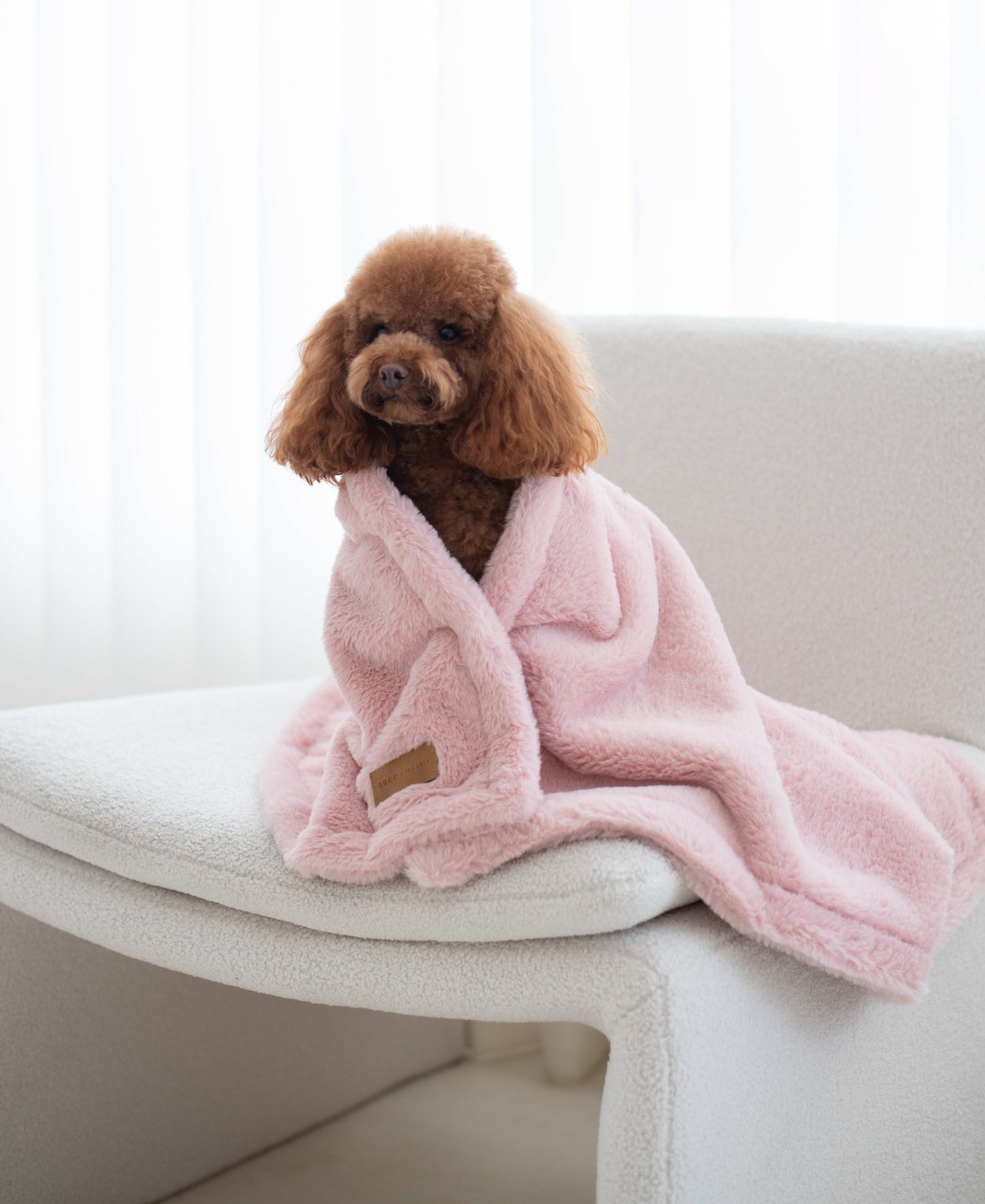 Bonnie Blanket