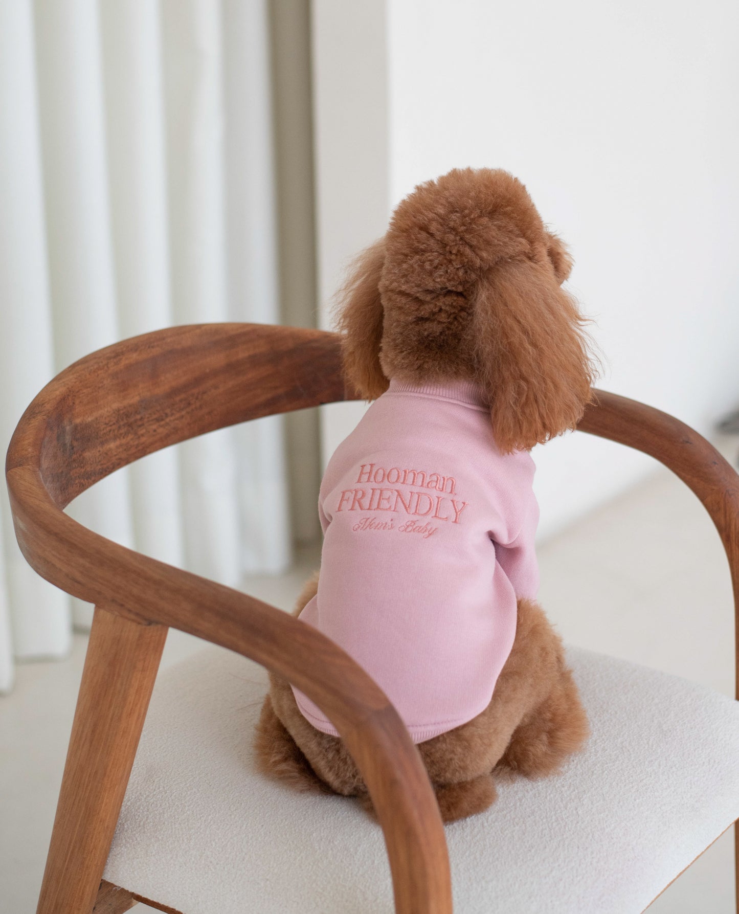 Pet Hoodie (Duas Match)