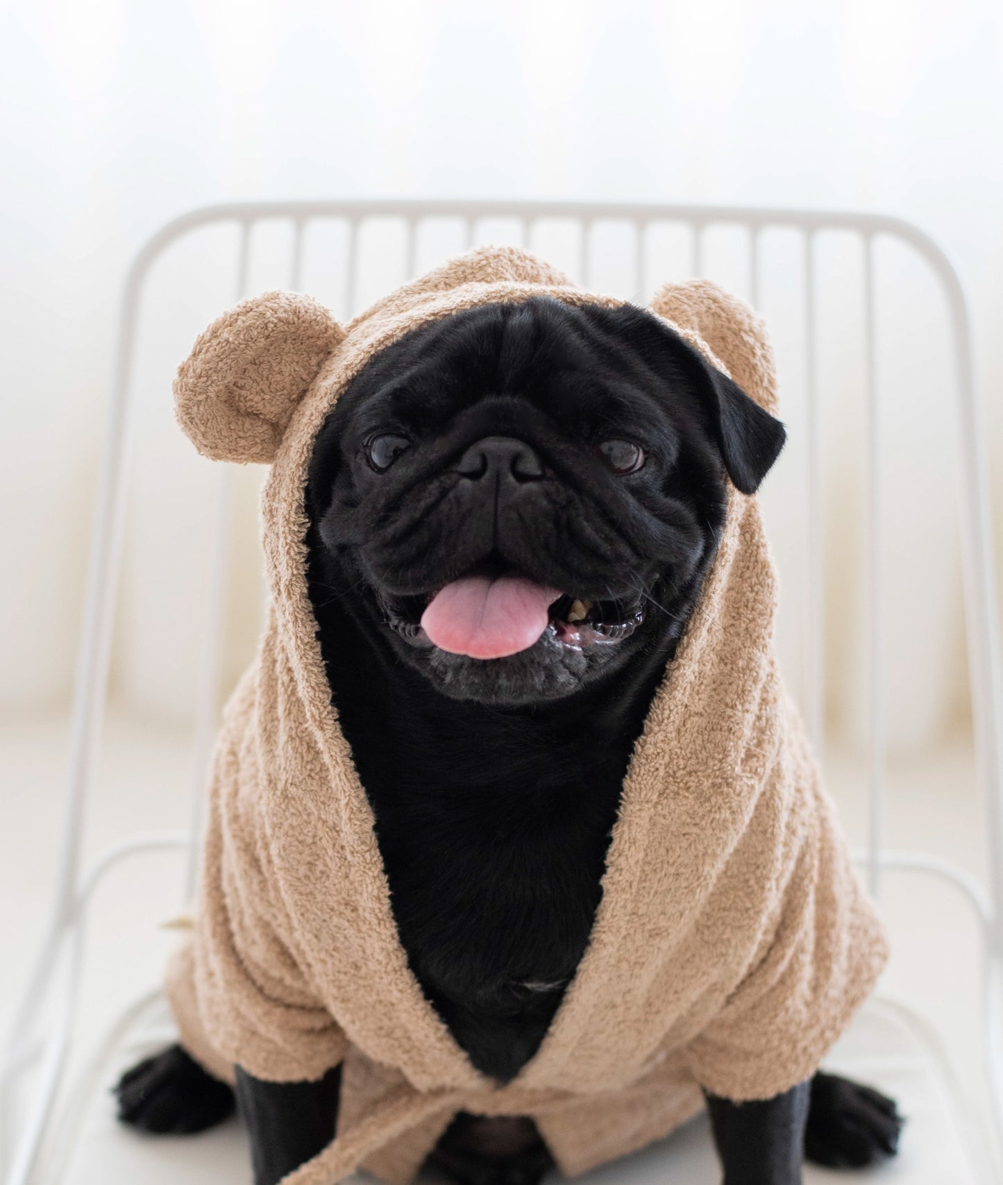 Bear Robe
