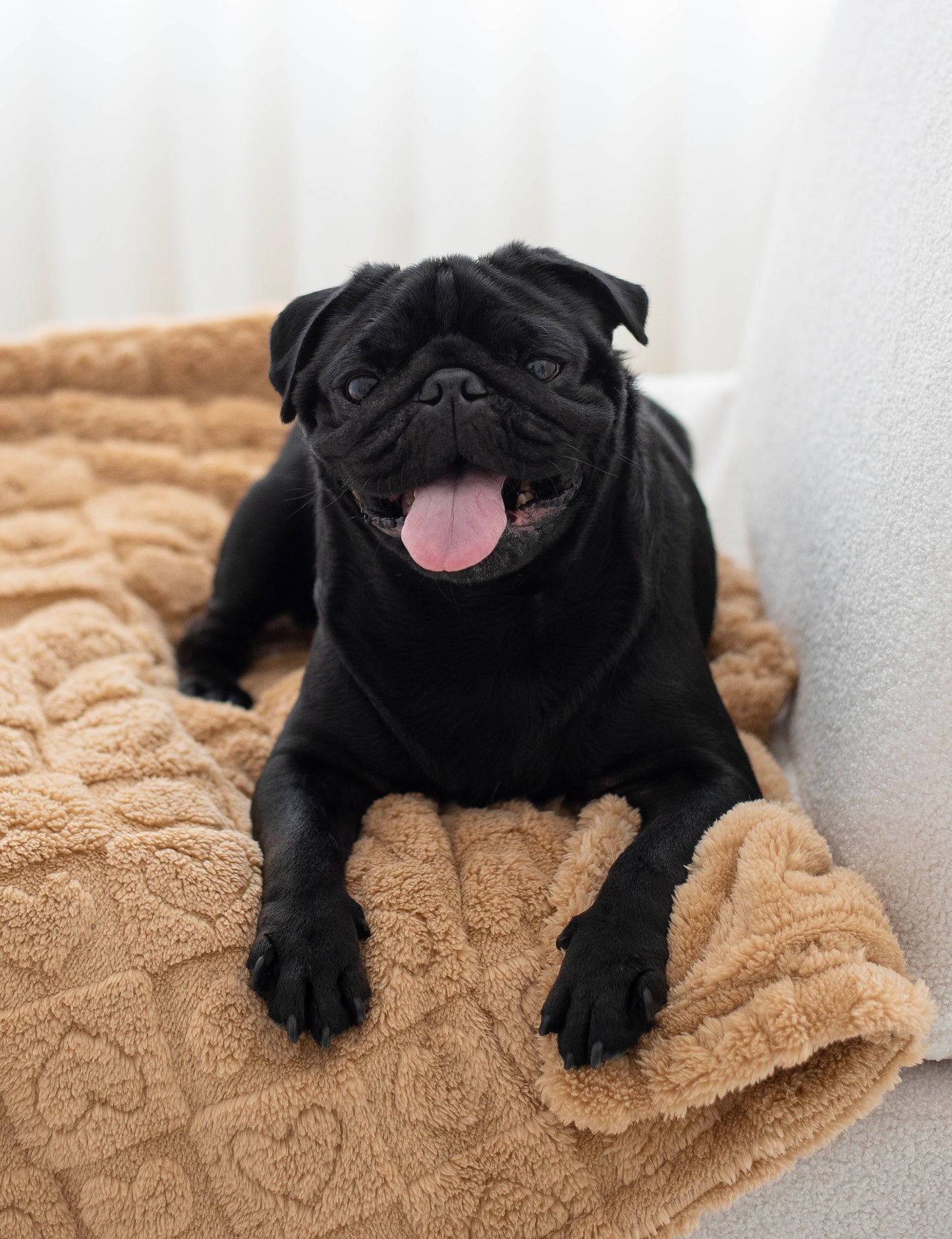 Comfy Blanket