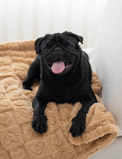 Comfy Blanket
