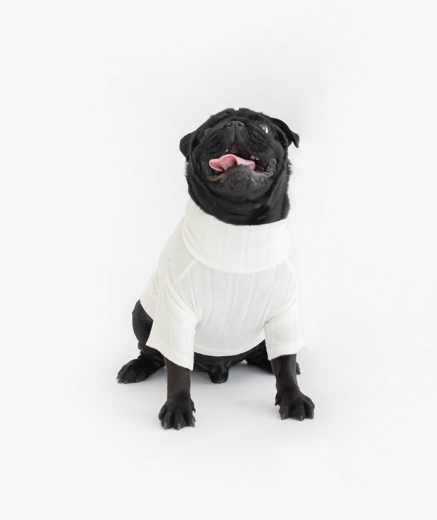 Cloud Sweater