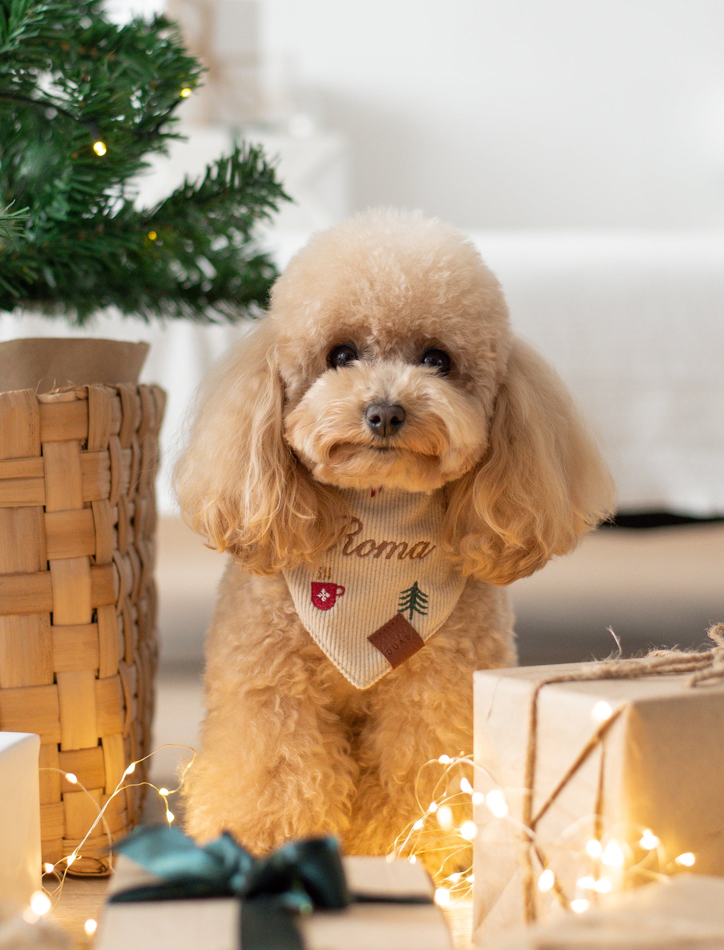 Bandana Personalizada Christmas