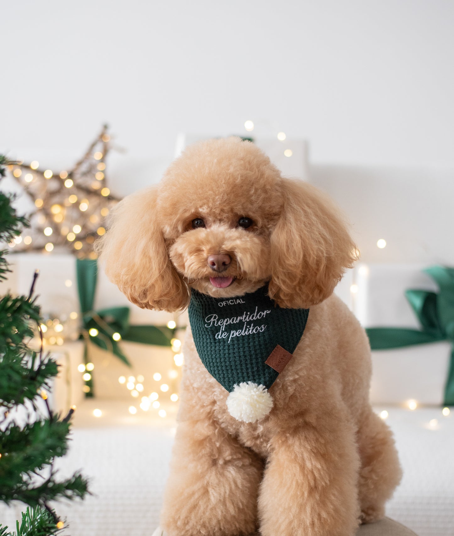 Bandana Santa's Helper