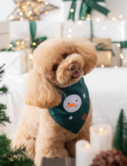 Bandana Snowman