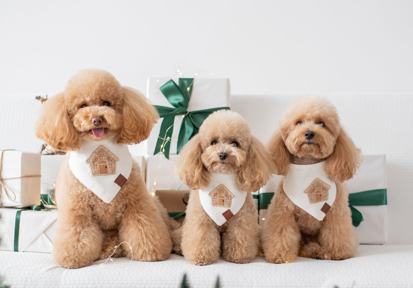 Bandana Gingerbread House