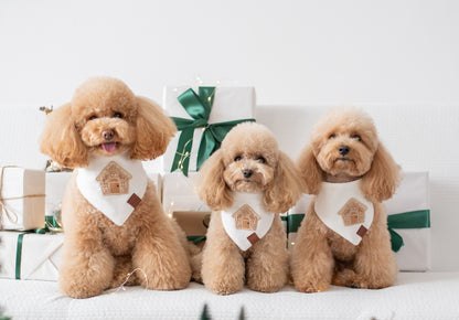 Bandana Gingerbread House