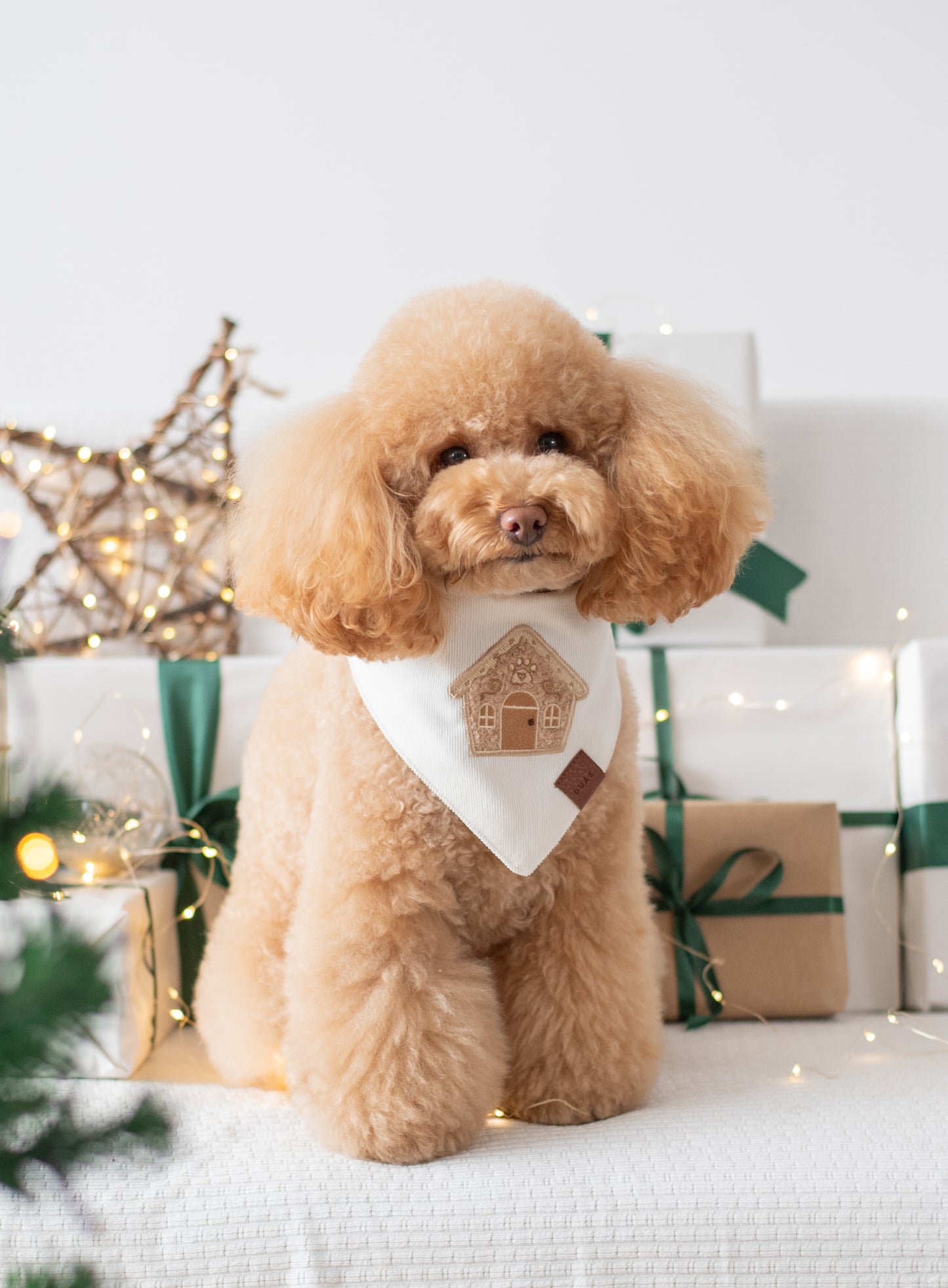 Bandana Gingerbread House