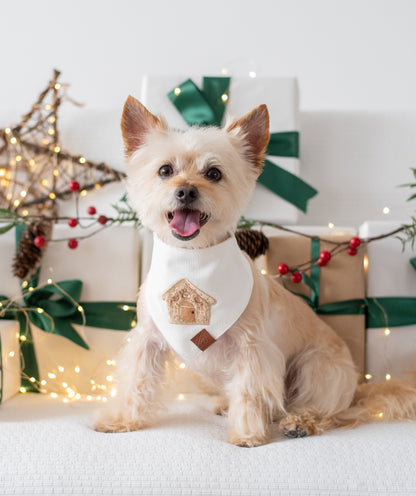 Bandana Gingerbread House