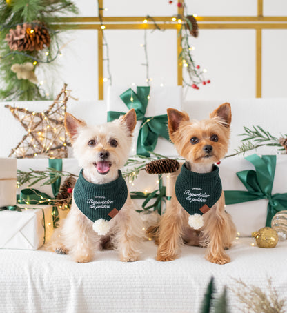 Bandana Santa's Helper