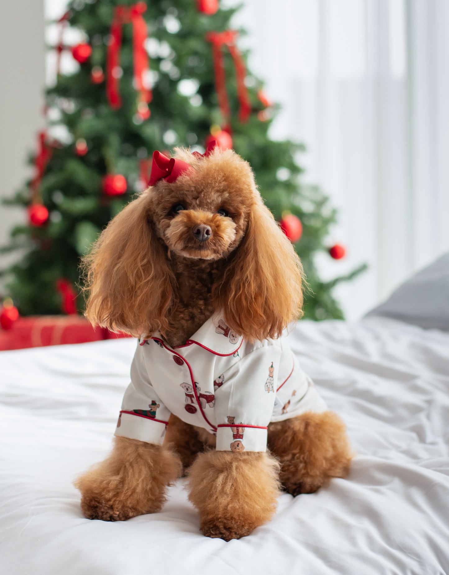 Paw-liday Match (pijama para perritos)